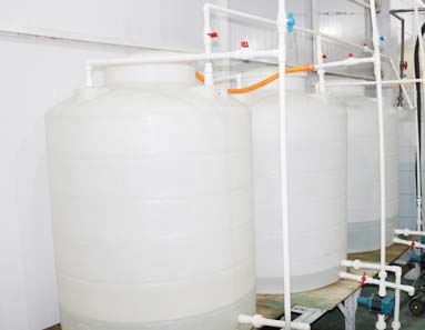 �»ݏS�^(q��)չʾ